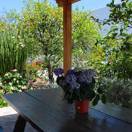 Sofia * Granadilla De Abona